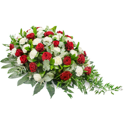 Set against a clean white background, this elegant sympathy spray appears as though it has just been carefully placed on a casket, ready to accompany a final farewell. The design is horizontally stretched, fuller and higher on the left and then narrowing into a refined, tapered point on the right, so the flowers seem to gently lead the eye in a soft, flowing line. At its heart are velvety red roses, deep and rich in colour, their petals still tightly furled to show off their classic shape. They are evenly interwoven with many white carnations, whose layered, frilled petals create a cushion of softness beneath and around the roses. The red and white together feel both traditional and deeply emotional, evoking enduring love, respect, and peaceful remembrance. The blooms are cradled in a bed of lush greenery: wide, dark green leaves form a sturdy foundation, while stems of muted, silvery eucalyptus thread through the flowers, bringing a cool, calm contrast. From the right-hand edge, more delicate, trailing foliage extends outward, adding a sense of gentle motion, as if the tribute is quietly reaching forward. The lighting is even and bright, so every petal and leaf is clearly defined, enhancing the feeling of fresh, carefully prepared funeral flowers. This is the kind of thoughtful memorial arrangement that might be delivered to a service near Golders Green Crematorium or one of the local synagogues, offering a sincere expression of sympathy and support to families from across Golders Green and the surrounding North West London community.