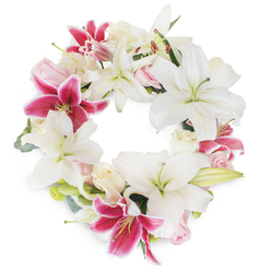 A carefully crafted mourning wreath set against a crisp white backdrop, where broad, snowy lilies form the primary architecture and vivid fuchsia-pink Stargazer lilies are woven in as bright, consoling accents. The white lilies unfold like open palms, their satin petals catching the light and revealing pale green pistils and soft yellow stamens; some remain gently furled, suggesting both life and transition. Interspersed among these are clusters of small, tightly ruffled roses in pale blush and creamy tones, their compact petals lending a tender, romantic texture beneath the larger trumpet and star-shaped flowers. Hints of muted green foliage - slips of eucalyptus and slender lily leaves - emerge from the depths, offering cool contrast and a faint, herbal scent that balances the lilies' sweetness. The wreath forms a complete circular shape with an open centre, symbolising continuity and remembrance, and the rich magenta lilies provide focal points that guide the eye slowly around the design. The overall mood is one of dignified solace: plush, deliberate, and quietly expressive, as if prepared by an experienced hand for a thoughtful service near Golders Hill Park or a quiet tribute at Golders Green Crematorium. Soft studio lighting emphasizes the flowers' textures and the careful layering of blooms, inviting touch and calm contemplation while conveying sympathy and heartfelt remembrance.