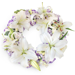 Displayed against a pure white background, this circular sympathy wreath radiates calm and gentle dignity, much like a quiet corner of Golders Green on an early Sunday morning. The flowers form a complete, unbroken ring, with generous clusters of white Oriental lilies taking centre stage. Each lily has six gently arched petals, silky and luminous, opening to reveal soft green throats and tall stamens tipped with russet-brown anthers, a subtle contrast against the cool white. Some blooms are fully open and expansive, others are just beginning to unfurl, and a few buds remain tightly closed, punctuating the arrangement with the promise of what was and what remains in memory. Nestled among the lilies are Lisianthus blossoms, their ruffled white petals edged in lilac and pale purple, creating a romantic, almost watercolor-like effect. Small touches of foliage, from fine, deep green leaves to misty eucalyptus-like sprigs, weave through the design, giving gentle structure and shadow without ever overwhelming the flowers. The wreath feels soft yet substantial, the textures ranging from smooth and velvety to feathery and airy. It brings to mind the hushed interiors of local chapels and crematoria near Golders Green, where families gather to share stories and say farewell. This floral tribute, with its cool white and lavender palette, is ideal for funerals, wakes, or memorial services, offering a message of peace, purity, and enduring remembrance that feels at home in the surrounding North West London community.
