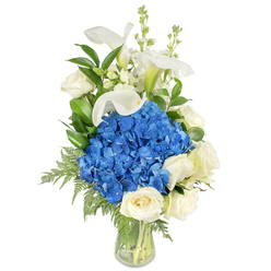 Arranged with a florist's eye for balance and texture, this tall, elegant display in a clear glass vase brings together a cool, soothing palette that feels both sophisticated and quietly joyful. Central to the design is a voluminous cluster of deep blue hydrangeas; their massed blossoms create a plush, tactile focal point that anchors the bouquet. Surrounding and supporting that central sweep are several full, creamy white roses, each with velvety petals that open in gentle spirals, offering a soft, familiar tenderness. Rising above the main cluster are several white calla lilies - long, trumpet-shaped spathes that arch upward like porcelain sculptures and introduce a refined verticality. Mixed through the composition are slim stems of white snapdragons or stock, their small, textured florets providing a delicate, lively cadence. Lush green foliage - broad, glossy leaves akin to salal and light, feathery leatherleaf fern - weaves throughout, providing contrast and depth while some fronds spill slightly over the vase edge for a relaxed, natural look. The clear tapered vase showcases the clean, cut stems and fresh water, reinforcing the sense of careful handling and same-day freshness suitable for delivery across Golders Green and nearby Finchley Road. Crafted by Flowers Golders Green, this bouquet reads as a versatile expression - equally appropriate for comforting sympathy, a thoughtful anniversary, or as a striking yet serene table centrepiece - its colours and forms gently evoking cool coastal blues and soft white light.