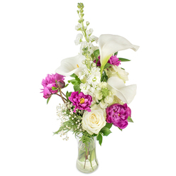 A refined, layered bouquet presented in a transparent glass vase that gently reveals the stems and water, composed to feel both sculptural and lush. Tall white calla lilies arc gracefully upward, their trumpet-shaped blooms and pale yellow spadices lending modern lines and a cool, almost porcelain sheen under soft light. Beside them a column of white stock plants creates vertical textural interest, tiny clustered blossoms offering a delicate, honeyed aroma that mingles with the deeper scent of the peonies. Deep magenta peonies punctuate the arrangement with opulent color: two open peonies display luxuriant, ruffled petals that catch shadows and invite touch, while a smaller, tucked bud gives the bouquet a sense of unfolding time. A single creamy white rose nestles lower in the composition, its tight spiraled petals introducing classic elegance and a gentle contrast to the peonies' drama. Featherlike sprays of baby's breath are woven between stems, adding an ethereal, drifting softness that lifts the heavier forms. Rich green foliage, from slender ferny fronds to broader leaves, cradles the flowers and enhances their vibrancy. This is a bouquet suited to an intimate celebration or as a comforting, thoughtful gift; I picture it arriving with careful hands for delivery across Golders Green Road or placed beside a bedside in a Hampstead Garden Suburb home, its scent and structure offering quiet joy and expert floral design.