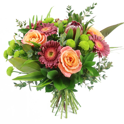 A generous hand-tied bouquet is captured against a crisp white backdrop, every detail visible as if you were standing at the counter of a Golders Green flower shop watching it being finished. Clusters of roses in peach, apricot and salmon pink form the core, their petals spiralling outward in delicate gradients that shift from creamy outer edges to deeper, sunset-like tones at the centre. Between them, Gerbera daisies in velvety burgundy and bold magenta stretch their slim, radiating petals around darker central discs, lending the design a modern, almost painterly flair that would suit a smart flat off Finchley Road or a cosy home near Golders Hill Park. Rising slightly above the surrounding blooms is a single statement King Protea, with layered, scale-like bracts in maroon and muted rose, tipped with softer pink that creates a striking, sculptural crown. Punctuating the warm palette are cheerful lime-green Santini chrysanthemum buttons, perfectly rounded and tactile, offering bright, zesty notes of colour that draw the eye across the arrangement. A wealth of foliage surrounds and supports the flowers: wide, polished leaves create a deep green backdrop, slim sword-like blades add vertical lines, and misty eucalyptus with rounded, silvery-green leaves softens the silhouette and suggests a cool, invigorating fragrance. The stems are tightly bound and trimmed, clearly arranged as a professional hand-tied gift ready to be placed into a favourite vase. This bouquet feels lively yet composed, suited to celebrations, get-well wishes, or warm congratulations, and reflects the thoughtful, contemporary floristry you might send for same-day delivery around Golders Green, Hampstead and surrounding NW11 streets.