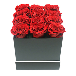 The image shows a dramatic, close-up composition of twelve sumptuous red roses, arranged so precisely in a square box that they form an almost seamless carpet of crimson. Viewed straight on, at eye level, the roses fill the entire frame, each head perfectly open with velvety petals folding and curling in tight, intricate layers. The tone of red is deep and saturated, reminiscent of fine red wine enjoyed in a cosy Golders Green restaurant along Golders Green Road, and there is a subtle variance between blooms that makes the arrangement feel alive yet perfectly curated. All twelve roses are of uniform size and height, sitting close together in a tight 3x4 grid, their rounded tops just peeking above the rim of their container, a clue that these are high-quality preserved flowers intended to keep their beauty for months. The box that cradles them is a matte black square with sharp, defined edges and a smooth, almost velvety finish of its own, unadorned except for a single thin white band near the base that wraps around like a minimalist ribbon. This simple contrast between the inky black box and the fiery roses gives the entire piece a sophisticated, almost cinematic presence, like a gift arriving to an elegant home off Hoop Lane or a smart office near Brent Cross. The background is pure, bright white, allowing soft, even light to highlight the delicate texture of every petal while gentle shadows trace the outline of the box. The arrangement communicates deliberate passion and thoughtful intention, perfect for apologising with grace, marking a milestone anniversary, or adding a touch of modern romance to a Golders Green living room.