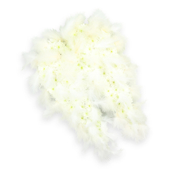 A pair of angel wings fashioned entirely from white flowers and feathers appears to float against a pristine white backdrop, radiating the same hush you might feel walking through Golders Green on a quiet Sunday morning. Each wing is densely packed with tiny, petal-rich white blooms-likely chrysanthemums and spray carnations-placed so closely together they read as one soft, continuous surface. At the centre of many flowers, faint glimmers of pale green and buttery cream can be seen, giving the arrangement a natural, living nuance amid its pure white palette. Around the outer curves and wing tips, layers of airy white feathers have been carefully tucked in, their wispy edges and gentle fluffiness enhancing the angelic form. The feathers extend just beyond the flowers, creating a halo of softness that suggests movement and the possibility of flight. A delicate drop shadow lies beneath the wings, adding subtle depth and making the tribute feel gently lifted from the background. The overall impression is of tranquillity, purity, and spiritual guardianship-a comforting symbol for a funeral or memorial service held near Golders Green station or in a local chapel. The design evokes the sense of a guardian angel watching over a departed soul, offering solace to family and friends. Crafted with the sensitivity of a seasoned florist, this angel-wing funeral arrangement becomes a touching visual prayer, expressing love, remembrance, and the hope of peaceful rest for someone deeply missed within the Golders Green community.