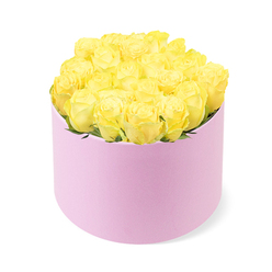 A round pastel pink hat box brimming with rich yellow roses is presented against a pure white background, creating a serene stage where colour and texture take the lead. The cylindrical box, with its soft, matte finish reminiscent of velvet or fine suede, stands upright and perfectly proportioned, its blush tone offering a gentle, romantic contrast to the bright blooms. Above the rim, more than two dozen roses are arranged with the care of an experienced florist, each head snugly nestled against the next to form a lush, domed canopy of petals. The roses range from buttery yellow at the outer petals to a slightly deeper, honeyed shade at their centres, giving the arrangement subtle depth when viewed from any angle. Between the blooms, slender glimpses of fresh green foliage appear, keeping the composition lively without interrupting the impression of an almost seamless field of gold. The photograph is lit with soft, even light, eliminating harsh shadows and allowing the natural curves of each petal to be clearly defined. It feels like the sort of luxurious hatbox design you might send from Golders Green to celebrate a birthday dinner on Golders Green Road or to brighten a home near Hampstead Heath with a burst of sunshine in the middle of the week. The overall mood is joyful yet refined, a celebration of friendship, happiness, and new beginnings, ideal for anyone seeking an elegant floral gift that goes beyond a traditional vase arrangement while still remaining classically beautiful.