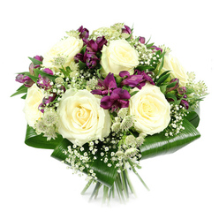 A sophisticated hand-tied bouquet is photographed against a bright white background, its compact, domed shape glowing with a calm, luxurious feel that mirrors the quiet streets off Finchley Road in Golders Green. At the heart of the design, several generous creamy white roses open fully, their spiralled centres and layered petals creating a plush, velvety texture you can almost feel with your fingertips. Between these roses, deep purple and magenta alstroemeria cluster in small sprays, their trumpet-like flowers adding a regal richness and a lively contrast of colour. Some blooms are wide open, showing fine inner markings, while others are still tight buds, suggesting freshness and longevity for home or office display. Wisps of white gypsophila weave in and out, their tiny, cloud-like flowers softening the arrangement and casting a delicate, romantic haze. Light green-white astrantia stand a little taller, their star-shaped bracts and pincushion centres bringing a more intricate, almost woodland character, as if inspired by the natural planting around Golders Hill Park or Hampstead Heath. Around the base, bold aspidistra leaves are wrapped and folded to form a smooth, sculpted collar, their glossy dark green surfaces providing a strong visual frame and a contemporary edge. The stems are neatly tied and trimmed, disappearing into the whiteness below. Subtle, even lighting highlights the creamy tones and rich purples without harsh shadows, emphasising every careful detail. The resulting bouquet carries a feeling of peaceful elegance and quiet thoughtfulness, perfect for offering condolences, celebrating a milestone, or sending a serene thank-you across Golders Green and the surrounding neighbourhoods.
