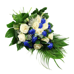 A graceful teardrop funeral spray of blue and white roses rests against a stark white background, its elongated shape flowing from a fuller top left down to a softly pointed base at the lower right. At its centre, you can almost feel the velvety texture of the roses: creamy white and pale ivory blooms open wide, their petals spiralling outwards, balanced by equally full sapphire blue roses whose deep, inky colour adds a sense of depth and contemplation. The interplay of blue and white is calm and composed, like a quiet sky reflected on water. Fine sprigs of baby's breath are scattered between the rose heads, each tiny white flower catching the light and adding an airy, cloud-like softness to the dense cluster of petals. Surrounding the blooms, layers of foliage form a lush cradle. Broad, glossy dark green leaves anchor the upper section, while bright green ferns lift upwards and outwards, giving a gentle, feathery texture. From the lower right, long palm fronds sweep down in slender, arching lines, guiding the eye along the crescent shape and reinforcing the sense of gentle movement. Here and there, bluish-green eucalyptus-style leaves peek through, offering cooler tones and rounded shapes that contrast with the sharper palms. Some of the broader leaves are artfully folded into striped bands, looped through the arrangement like subtle ribbons of greenery. The overall effect is solemn yet hopeful, a composed tribute suitable for a funeral or celebration of life in Golders Green, perhaps delivered by local florists to a chapel or family home as a tender gesture of sympathy and remembrance.