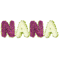 An intimate, handcrafted floral message reads NANA across a bright white field, the letters formed in bold three-dimensional shapes by clusters of small, chrysanthemum-like blooms. The two N letters glow with sumptuous magenta-to-plum chrysanthemums, each tiny flower marked by a pinpoint of yellow at its heart, producing a plush, jewel-like surface; the A letters respond in serene contrast-delicate ivory-white chrysanthemums that soften the composition and bring a quiet, cleansing light. A vivid lime-green edging-appearing as pleated satin ribbon or finely arranged foliage-traces each letter, its undulating line giving the whole piece a fresh, hopeful frame and a slight rhythmic movement when viewed from the side. The craftsmanship is meticulous: blooms are matched for size and depth so the letters read clearly from a distance and hold up through a service, whether placed on an easel at a chapel or resting near floral tributes at a graveside. There is a gentle scent of chrysanthemums in the air, a coolness from the white petals and a comforting density to the darker blooms; under soft natural light the magenta seems almost velvety while the whites take on a porcelain clarity. This tribute is intended as a personal, reverent message for a beloved grandmother-suitable for wakes, memorials and celebrations of life-and would be delivered with quiet care across Golders Green, Finchley and surrounding neighbourhoods, reflecting local florist experience in crafting bespoke memorial flowers.