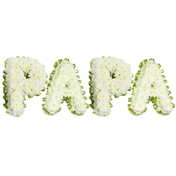 An intimate floral statement reading PAPA, each capital letter shaped from tightly packed white chrysanthemums and similar small white blooms, producing a dense, soft-textured surface that feels like a muffled whisper. The arrangement is photographed on a stark white background so the slight doming of each letter and the subtle play of studio light across petals is clearly visible: shadowed folds, tiny pollen-specked centres, and the faint translucence of thin petals at their edges. Tracing each character is a folded pale green ribbon or a narrow rim of fresh foliage, the gentle undulation of the border creating a hand-finished silhouette and lending a hint of spring-green optimism to the otherwise solemn palette. The design reads horizontally and deliberately, the spacing and scale chosen so the familiar, intimate name can be recognised even from a distance. There is an implied scent of cut flowers and a cool dampness from the stems, sensations that conjure quiet memories for those gathered. As a florist who often prepares memorial tributes for families in Golders Green and the surrounding Finchley Road neighbourhoods, I picture this piece offered at a wake or placed beside a photo at a memorial table. Its classic white-and-green combination communicates purity, calm, and respect-an understated but deeply felt embodiment of grief and affectionate remembrance for a cherished paternal figure.