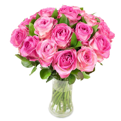A generous bouquet of about twenty-four pink roses is arranged in a clear glass vase with a subtly curving profile, photographed on a pristine white backdrop so the colours sing. Each rose displays a small, intense heart of magenta or fuchsia, graduating outward to softer, blush pink and occasionally a pale creamy rim on the outer petals-the gradual colour transition giving each flower depth and a painterly quality. The petals' velvety surfaces catch the light to reveal delicate highlights and soft shadowed folds that speak to freshness and careful handling. Dark green leaves emerge intermittently, framing and cradling the blooms while the visible green stems in the vase show neat, angled cuts and clean water, signs of professional conditioning. The sweet, green-fruity perfume of the roses seems to hover just above the bouquet, conjuring images of an early morning delivery route through Golders Green, past the tube station and the local deli on Hoop Lane. This composition feels like a crafted declaration-romantic without being excessive-and suits occasions from birthdays and anniversaries to thank-you gestures and quiet celebrations. As an experienced florist serving the Golders Green area and nearby Finchley, I design arrangements to balance colour and form; here the tight, domed silhouette and the colour gradient across petals create a harmonious, tactile experience. The bouquet's clean presentation and luminous pinks are meant to comfort, delight, and make an elegant statement in a bright kitchen, a bedside table, or as a centrepiece for an intimate gathering.