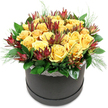 Set against a plain white background, this round black hatbox arrangement feels like a concentrated burst of sunshine ready to brighten a Golders Green home. The top of the hatbox is completely covered by a dense, rounded cluster of yellow roses, their petals soft and velvety, layered in generous spirals. Some blooms are fully open, revealing complex centres of tightly packed petals, while others are just beginning to unfurl, adding a sense of gentle growth and life. The yellow colouring is warm and golden, reminiscent of afternoon light falling across nearby Golders Hill Park, radiating an inviting, optimistic glow. Interwoven among the roses are distinctive Leucadendron 'Safari Sunset' stems, their deep burgundy and maroon bracts rising like elegant flames, with greenish bases that tie them visually to the surrounding leaves. These textural, cone-like florets create depth and contrast, making the smooth rose petals appear even softer by comparison. A fitted collar of glossy dark green foliage encircles the flowers at the hatbox rim, grounding the design, while fine, needle-like or ferny sprigs of lighter green peek out in places, introducing airiness and a naturally relaxed edge. The hatbox itself, in matte dark grey or black, offers a sleek and contemporary foundation, gently trimmed around the top with a thin band of white lace that adds a delicate, romantic touch. The composition feels equally suited to a birthday surprise, an elegant thank-you delivered near Brent Cross, or a modern centerpiece for a small gathering, bringing with it an imagined hint of sweet rose fragrance and a comforting sense of warmth and celebration.