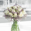 A tranquil bouquet of white roses and lavender statice is arranged in a sleek, clear glass cylinder vase, centred on a smooth white surface that glows under soft, natural light, much like a sunlit windowsill in a quiet Golders Green flat. The roses dominate the composition: a plentiful cluster of creamy white blooms gathered into a full, rounded shape. Each rose displays intricate spirals of petals, some tightly furled and others beginning to gently open, giving a sense of unfolding grace. Along the outer edges of some petals, a faint hint of green suggests their freshness and recent cutting. Intermingled with these roses, airy sprigs of statice in muted purple tones weave gracefully through the bouquet. The statice forms a delicate network of tiny, clustered blossoms, adding an almost feathery texture that softens the cleaner lines of the roses. Their lavender and lilac shades create a quiet, respectful contrast to the white, holding the eye without overwhelming it. The glass vase allows the stems to be clearly seen beneath the waterline, their clean cuts and parallel lines showing the thoughtful craftsmanship behind the design. Soft illumination washes across the bouquet, creating subtle highlights and shadows on the petals and lending the scene a calm, contemplative quality. The background dissolves into a soft blur of whites and greys, giving no sense of specific location yet echoing the gentle light often found in homes near Golders Green Road or Temple Fortune. The arrangement feels soothing and dignified, a fitting floral tribute for expressing sympathy, remembrance, or a quiet gesture of care delivered locally.