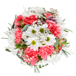Radiating happiness and renewal, this hand-arranged bouquet from Golders Green is a vivid composition of white daisies, coral-pink carnations, and textured greenery, designed to uplift any room or occasion. The arrangement's center is anchored by cheerful, snow-white daisies encircling lime-green hearts, their fresh simplicity echoed across the bouquet. Ruffled, plush coral-pink carnations generously fill out the design, adding a pop of warm color and a soft, luxurious feel akin to early spring petals found in Golders Green's local gardens or Hampstead's leafy lanes. Baby's breath clouds drift delicately amid the blooms, while slender hints of blush alstroemeria buds peek through, lending brightness and an air of anticipation. Surrounding greenery-silvery eucalyptus paired with dark, glossy leaves-frames the bouquet, completing a look that feels both elegant and abundantly cheerful. This arrangement exudes the welcoming spirit of Golders Green, perfect for birthdays, anniversaries, or simply to bring a touch of light to a friend on Childs Hill. The bouquet's fresh fragrance and harmonious colours make it a testament to a florist's passion for creating moments of joy within the local community.