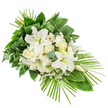 A dignified sympathy spray composed in tranquil whites and layered greens lies diagonally against a plain white backdrop, its one-sided design clearly intended to be admired from the front during a funeral or memorial. The upper portion is filled with large white Oriental lilies, some fully open with soft, recurved petals and pale green throats, others still in sleek buds that rise gracefully from the foliage. Around them, clusters of ivory and cream roses intermingle with ruffled white carnations, their petals densely packed and gently undulating, while daisy-like white gerberas punctuate the arrangement with simple, open faces and subtle cream or yellow centres. Fine sprays of tiny white filler flowers thread between these main blooms, adding a delicate, almost misty veil that enhances the sense of lightness. Beneath the flowers, a foundation of foliage in varying shades of green provides both support and contrast: broad, glossy leaves offer a bold, polished surface; feathery ferns soften the edges; and rounded eucalyptus leaves introduce a muted blue-green that cools the palette. At the crown, long narrow leaves are tidily wrapped into upright bundles, lending an understated structural elegance. From the lower right, numerous slender palm fronds splay outward in a sweeping arc, defining the elongated, slightly asymmetric teardrop form of the piece. The overall mood is serene and reflective, a thoughtful floral tribute suited to services in and around Golders Green, from intimate gatherings near the station to larger farewell ceremonies held close to the open green spaces of nearby parks.
