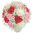 Infused with the gentle spirit of Golders Green, this captivating bouquet radiates comfort and grace, as if freshly arranged for a family celebration near Golders Hill Park. Richly textured red, pastel pink, and creamy white carnations are bunched closely together, their plush, ruffled petals giving the bouquet an irresistible softness and fullness. Wisps of snowy baby's breath are generously interlaced, resembling misty clouds that offer an ethereal touch against the vibrant carnation hues. The arrangement is gathered into a nearly perfect sphere inside a rounded clear glass vase, showcasing carefully arranged stems resting in sparkling water visible at the vase's base-a detail reflecting the freshness local Golders Green florists are known for. Bright, natural light highlights every nuance of colour and petal, making the composition leap to life against the pure white background. The overall effect evokes warmth, tranquillity, and joy, making this bouquet an ideal gift for occasions such as Mother's Day brunches, heartfelt birthdays, or as a gesture of appreciation to someone in the Golders Green or Hampstead community. Every petal and sprig contributes to an uplifting tableau-an arrangement that quietly fills a room with the hope and renewal inherent in lovingly crafted local flowers.