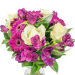 A lush, round bouquet photographed against a pure white backdrop, its colours and textures arranged with the quiet confidence of a seasoned florist. At eye level several large magenta Gerbera daisies immediately draw attention: their broad, flat petals fan out from dark, intricate centres, the almost-fuchsia tones striking against the neutral background. Nestled between the gerberas are creamy white roses, their petals tightly furled at the centre and gradually loosening into soft, layered spirals that suggest a gentle, classic fragrance when imagined. Sprays of deep purple Alstroemeria - Peruvian lilies with delicate trumpet-shaped petals and occasional darker speckling - thread through the composition, adding a refined, exotic edge and a sense of layered depth. Rich, glossy greenery, a mix of broad and sword-like leaves, frames each bloom, offering a vivid, verdant counterpoint that enhances the three-dimensional silhouette and lets highlights and shadows play across the arrangement. A faint rim of a clear glass vase is visible at the base, grounding the bouquet and lending a fresh, contemporary sensibility. The bright studio light accentuates the contrast between magenta, cream and purple so that every petal edge and subtle vein is readable even from a distance. This arrangement reads as joyful yet elegant - a gift that lifts a room, suited to birthdays, thank-you gestures, or to bring a bright, thoughtful note to a mantelpiece. Imagining it at a small Golders Green gathering or as a cheerful table centre on a spring morning, you can almost sense the cool, clean scent of roses mingling with the crisp green foliage and the visual warmth of the gerberas.