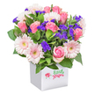 A vibrant, cheerful bouquet sits proudly in a spotless white square container, its lush display echoing the welcoming spirit of Golders Green. At the heart, pink roses-some tightly furled, others in full bloom-unfurl their soft, velvety petals in shades from gentle blush to vivid fuchsia. Intermingled, pastel pink gerbera daisies beam with wide, cheerful petals radiating from creamy yellow centres, catching the eye from any angle. Enhancing this lively collection, clusters of feathery deep purple limonium-like the blooms found in Golders Green's local markets-add rich contrast and a playful accent, while sprigs of fluffy white filler flowers quietly illuminate the arrangement. A medley of vibrant greens peeks out between the more prominent blossoms, lending a wholesome, natural backdrop and a sense of movement, reminiscent of the area's leafy residential streets. The white vase, simple yet elegantly sturdy, serves as a modern canvas for this display, making the vivid pinks and purples pop against the plain background. This fresh, joyful bouquet lends itself to any celebration-birthdays, thank-yous, sharing a little brightness with a friend or family member nearby. Every detail reflects the florist's careful craftsmanship and appreciation for Golders Green's dynamic community and local charm.