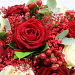 In this close-up view, the bouquet feels almost within reach, as though you could lean in and catch the subtle mingling of rose fragrance and fresh foliage typical of a well-crafted Golders Green arrangement. At the heart is a magnificent, fully opened dark red rose, its velvety petals spiralling outwards with a precision that only nature can achieve, setting the tone of passion and depth. Around it, additional deep crimson roses cluster tightly, some peeking from behind others, their overlapping petals creating a sense of richness and layered texture. Nestled between these romantic reds, smooth, creamy white roses offer a gentle contrast, their soft curves and immaculate petals suggesting innocence and calm, like quiet pauses in a love story. Threaded throughout the composition are fine, branching stems of tiny red Gypsophila flowers, so small and numerous they resemble a dusting of coloured mist, adding lightness and intricate detail. Scattered clusters of glossy red Hypericum berries add a more solid, rounded shape and a subtle shine, like tiny ornaments placed with care. All of this is cradled by fresh greenery: rounded, silvery-green eucalyptus leaves lie side by side with darker, richer foliage, framing the blooms and giving the arrangement an organic, garden-fresh feel. Gentle lighting bathes the flowers, enhancing the velvety reds, creamy whites, and varied greens without casting harsh shadows, much like the soft evening light along Finchley Road. The overall impression is one of romantic elegance and celebration, perfect for Valentine's Day, anniversaries, or any moment when someone in Golders Green wants to send a deeply personal, beautifully composed floral message.