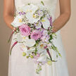 An intimate, eye-level view captures a bride holding a sumptuous cascading bouquet, the flowers glowing softly against a blurred, beige-toned backdrop reminiscent of a quiet Golders Green synagogue or town hall interior. The bride is shown from the waist up, her ivory lace gown fitted and refined, with intricate floral patterns tracing her sleeves and upper bodice like delicate embroidery you might glimpse in a boutique just off Finchley Road. Her hands rest gently around the stems, positioning the bouquet as the clear focal point of the image. The arrangement itself falls in a graceful teardrop cascade, rich with a palette of crisp white, blush pink, lavender, and striking fuchsia. Large Phalaenopsis orchids anchor the design, their broad white petals velvety and luminous, each bloom revealing a small golden-yellow throat at its center. Between them, blush pink roses unfurl in generous, classic rosettes, creating a sense of depth and quiet luxury. Wisps of lavender stock are woven throughout, bringing a pastel haze and a slightly ruffled texture that softens the formality. Fine sprigs of white baby's breath flicker through the bouquet like tiny stars in evening light over Golders Hill Park, adding delicacy without overwhelming the main flowers. From the heart of the arrangement, slender fuchsia or magenta amaranthus trails downward, its cascading strands giving the bouquet a sense of movement, almost as though it were still shifting with each step down a Golders Green aisle. At the lower tip, unopened orchid buds, petite lavender blooms, and slim green stems peek out, suggesting living growth and just-cut freshness. This image conveys a bridal bouquet that marries modern opulence with gentle romance, perfectly suited to a sophisticated local wedding celebration.