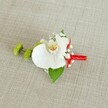 A single, exquisitely styled boutonniere rests on a softly textured, light beige linen fabric, its natural weave catching the gentle, even light like the calm interior of a Golders Green townhouse on a wedding morning. At the heart of the design is a flawless white phalaenopsis orchid, its broad, velvety petals opening in a graceful arc, almost like butterfly wings pausing mid-flight. The orchid's throat glows with subtle tones of soft yellow melting into warm reddish-orange markings, adding quiet depth to the pure white bloom. Around it, clusters of delicate white baby's breath create a cloud-like halo, their miniature blossoms giving the arrangement a misty, romantic softness. To the left, two rounded lime-green chrysanthemum buds, tightly packed and slightly spiky in texture, add a fresh, modern contrast that feels as crisp as spring foliage in nearby Hampstead Garden Suburb. A deep green leaf cradles the base of the orchid, while a smaller, darker leaf peeks near the stems, grounding the design with natural richness. The stems are neatly wrapped in a vivid crimson red satin ribbon, pulled snug and smooth, ending in a small, refined knot that adds a celebratory flash of colour. The neutral linen background, reminiscent of a simple table runner in a Golders Green family home, allows every nuance of white, green, and red to stand out. The overall mood is polished yet heartfelt, making this boutonniere ideal for a groom or groomsman at a North London wedding, a tiny, living keepsake pinned close to the heart.