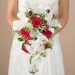Captured in a soft-focus, waist-up portrait, a bride from Golders Green graces the frame in a flowing white gown, her arms encircling an opulent, cascading bridal bouquet. The arrangement is a timeless union of striking white lilies-possibly fragrant oriental or stargazer varieties-whose wide, open petals and prominent stamens are beautifully offset by bold, velvety red roses. Effortlessly, delicate white phalaenopsis orchids tumble from the bouquet's core, creating a gentle waterfall effect that evokes the elegant gardens found near Hampstead Garden Suburb. Lush sprigs of green foliage, wispy ferns, and broad leaves support the blooms, while subtle white filler flowers and lively clusters of bright red berries add playful touches and dynamic detail. The bouquet's colors-rich ruby, creamy white, and vibrant green-create a striking visual harmony, standing out brilliantly against both the bride's smooth satin gown and the warm, neutral beige background. This exquisite arrangement, a staple of Golders Green wedding celebrations and expertly fashioned by neighborhood florists, perfectly captures the romance and joyous anticipation of a wedding day along Finchley Road, serving as a memorable highlight for both ceremonies and local wedding photography.