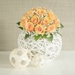 A lush, rounded centerpiece of soft peach and apricot roses is arranged in a generous dome, each bloom tightly clustered so that the petals almost brush one another, creating a glowing canopy of warm colour. The roses range from just-unfurling buds with deeper, almost amber-orange hearts to fuller blossoms with paler, velvety outer petals, so the overall effect is of light gently radiating from the centre of the arrangement. Threaded between the roses are countless tiny white baby's breath flowers, their airy, cloud-like clusters giving the bouquet a gentle, romantic haze, while touches of deep green foliage peek out to anchor the design and add depth. The flowers are cradled in a striking spherical vase crafted from white woven strips, like a wicker or rattan lattice folded into a perfect globe; the open crisscross pattern lets light slip through, casting delicate shadows and adding a contemporary texture that feels at home in a modern Golders Green flat or townhouse off Finchley Road. In front of the vase, resting on a pristine white tabletop, sit two decorative spheres in natural beige tones, woven in a similar open style so they echo the main container without competing with the roses. The background is a soft, pale beige wall with a subtle vertical texture, calm and uncluttered, allowing the peach tones and sculptural white elements to stand out. Soft, even daylight washes across the scene, the kind of gentle light you might find in a north-facing living room near Hampstead Garden Suburb on a quiet morning. The entire composition feels serene and sophisticated, ideal as a wedding table centerpiece, a stylish accent for home staging, or an elegant anniversary arrangement delivered locally in Golders Green.