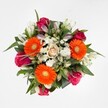 A playful celebration of floral artistry in Golders Green, this bouquet's dynamic composition draws the eye from the moment it's placed against its pristine white backdrop. Three exuberant orange Gerbera daisies, echoing the cheerful spirit of Golders Green's local markets, lead the show with their sunlit faces and unique yellow-green centres. Between them, rich, velvety roses in fuchsia and magenta hues offer a tactile and visual contrast-some in full, fragrant bloom, others still wrapped tight in anticipation. Central to the gathering sits a soft peach-cream rose, bringing a calming note amid the bolder shades. Surrounding these are white alstroemeria, their elegant petals and emerging buds suggesting a sense of renewal, while clusters of fluffy spray chrysanthemums contribute layers of airy texture akin to the white blossom trees in Golders Hill Park. Lush, vibrant foliage frames the blooms, evoking the tranquillity of local green spaces. This bouquet, crafted and delivered with care throughout Golders Green, radiates warmth and connection-perfect for elevating any celebration, expressing gratitude, or simply brightening a friend's home with a taste of local floral excellence.