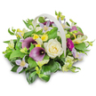 In this carefully lit studio scene, a sympathy flower basket is displayed on a white surface against a pure white backdrop, allowing its gentle colours and shapes to become the full focus. The basket, woven in a pale cream or off-white tone, has a smooth, curved handle that arches protectively over a mound of blooms, suggesting a sense of shelter and care. At the centre of the design sits a creamy white rose, its neatly layered petals softly opening, like a quiet symbol of remembrance. Beside it, two deep purple calla lilies extend their elegant, trumpet-shaped forms, their velvety sheen and rich colour evoking dignity and respect, much like the understated tributes often chosen for services around Golders Green crematorium or small memorials near Childs Hill. Threaded through the composition are delicate clematis-style flowers in shades of lavender and pale lilac, each with dainty yellow centres that lend a gentle, starry light to the arrangement. Scattered among them, small yellow and white blossoms, reminiscent of freesias or alstroemeria, create lively highlights, offering a touch of hope and warmth. On the right-hand side, a single vibrant magenta gerbera daisy peeks out, its bold, circular face adding a poignant note of individuality and celebration of life. All of these blooms emerge from a lush cushion of mixed foliage, with broad, glossy green leaves and finer, lighter sprigs that fill the basket to overflowing and frame the flowers beautifully. The overall effect is balanced and soothing, a tasteful floral tribute that would be fitting beside a photograph, at a funeral service, or delivered as a message of support to a grieving family in Golders Green.