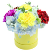 A bright, uplifting floral box viewed from just above, the kind of cheerful arrangement I make for patients and neighbours when the sun finally warms Golders Green Road. At the heart of the composition sit several large, ruffled yellow carnations, their lemon-bright petals catching soft studio light and radiating warmth. Around them a halo of periwinkle-blue hydrangea clusters forms a cloud-like base, each tiny floret edged with paler sky-blue and whispering coolness against the stronger tones. To the left a deep magenta carnation pushes its velvety folds forward like a dramatic note, while a rich, crimson-red carnation balances the right side with plush depth. Slender sprigs of vibrant green foliage thread through the blooms, adding a fresh, textural contrast and the faint, herbaceous scent you expect when stems are recently trimmed. The flowers spill slightly over a round pastel yellow hatbox, its paper surface printed with soft pastel polka dots-pale blue, blush pink and mint-some with tiny white speckles that catch the eye and suggest springtime playfulness. The overall silhouette is a compact dome, dense and generous, designed to sit on a kitchen table or beside a hospital bed and lift the room with colour. Light feels gentle, close, enhancing the ruffled surfaces and creating subtle shadows between petals. This bouquet reads as both a celebration and a quiet comfort: ideal for birthdays, new babies, get-well wishes, or simply to brighten the day of someone in Golders Green or nearby Hampstead Garden Suburb. The presentation signals careful craftsmanship-a thoughtful, ready-to-give gift from a local florist who values freshness and joyful colour.