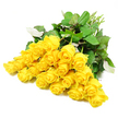 A lush grouping of approximately twenty-four yellow roses rests against a stark white background, their vivid colour and natural shapes brought into sharp focus by the simplicity of the setting. The roses are arranged so that the blooms dominate the frame, spreading outward in a soft, rounded fan while the bundled stems point neatly towards one corner, hinting at a hand-tied bouquet just laid down. Each flower head is full of detail: some show tightly packed petals held close to the centre, while others have begun to open, revealing a spiral of golden yellow that gradually relaxes towards the outer edge. Rich, dark green leaves cluster around and between the roses, creating pockets of shadow and contrast, and occasionally reveal a lighter underside that catches the light. The interplay between the sunlit yellows and the deep greens makes the blossoms appear particularly fresh, as though they were cut only moments before in a quiet garden near Golders Green's leafy streets. Although the colour is bright and uplifting, the overall composition has a calm, measured quality that suits the gentle expression of sympathy or remembrance. One can almost imagine this bouquet resting on a table in a peaceful home, or near a framed photograph at a small memorial, bringing a soft touch of brightness without overwhelming the space. The clean, uncluttered background ensures every petal, stem, and leaf stands out clearly, conveying both the natural beauty of the roses and the quiet respect appropriate for condolence flowers delivered locally.