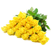 This image presents a lavish cluster of yellow roses lying side by side against a flawless white background, like a finished design resting on the table of a Golders Green florist just before delivery. There are about twenty-four blooms gathered together, each captured in clear, fine detail: some roses are still in that classic, tight spiral stage, while others have relaxed into more open blossoms, their velvety petals fanning out in layered whorls. The yellow tone is consistent and luminous, evoking soft sunshine rather than bright midday glare, and it lends the flowers a gentle, reassuring presence. Glossy, dark green leaves thread through and around the roses, their firmness and subtle texture grounding the softness of the petals. A few sturdy stems, complete with small thorns, can be seen beneath the blooms, suggesting freshness and the skilful hand that has arranged them. The bouquet is lit evenly, with tender highlights and faint shadows that reveal each petal's curve and the quiet architecture of the foliage, giving the arrangement a sense of stillness and poise. While yellow roses are often associated with friendship and gratitude, here they take on a more contemplative tone, perfectly suited to a sympathy bouquet travelling to a family home near Temple Fortune or a small memorial service off Golders Green Road. The composition feels like a softly spoken message-an expression of care, remembrance, and shared hope, crafted by an experienced local florist who understands how colour and form can bring a ray of comfort in times of loss.