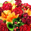 The photograph captures a dense, luxurious bouquet that seems to glow with the warmth of a cosy evening near Brent Cross, even though all we see is colour and form. Large, velvety red roses dominate the scene, each bloom fully open so that its tightly spiralled petals create deep, inviting whorls of crimson. Between and above them, orange lilies arc upward, their broad petals stretching wide and curling slightly at the tips, giving the impression of flames flickering softly against a backdrop of green. The lilies' intense orange hue adds an energetic counterpoint to the steady, romantic red of the roses. Closer to the centre, smaller burgundy and crimson spray roses and buds cluster together, enriching the colour palette with darker, wine-like tones that suggest depth and maturity. Around the flowers, layered foliage in multiple shades of green forms a lush frame: some leaves are large and glossy, gently folding around the blossoms, while others are finer and feathery, threading through the arrangement like delicate strokes of a paintbrush. A single, striking leaf curls forward in the foreground, its smooth surface catching the light and guiding the gaze into the heart of the design. Nestled among the petals, shiny ruby-red hypericum berries appear in neat clusters, their round shapes contrasting with the softness of the blooms and adding a joyful, almost festive touch. Soft, bright lighting reveals every texture and nuance, making the flowers appear freshly arranged and ready for delivery to a home or celebration in Golders Green, ideal for anniversaries, romantic gestures, or any moment that calls for passion and radiance in floral form.