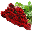 Dozens of red roses are arranged in a lush, horizontal sweep against a flawless white background, creating a striking band of passionate colour that immediately commands attention. Around two to three dozen long-stemmed blooms appear to have been carefully laid side by side, as if an experienced florist has just finished perfecting the arrangement on a workbench at Flowers Golders Green. Each blossom is a deep, velvety crimson, with petals that curl and spiral in layered whorls. Some roses are fully open, showing off intricate hearts and soft, rounded outer petals, while others sit more tightly formed, like newly opened buds, adding texture and a sense of evolving life to the bouquet. The stems, thick and sturdy, run beneath the mass of flowers, and are most visible toward the upper right corner, where a cluster of dark green leaves fans out in a loose, organic frame. These leaves, with their subtle veins and slightly glossy surfaces, temper the intensity of the red and give the arrangement a fresh, garden-picked feel, as though the roses were gathered from a private garden near Golders Hill Park on a clear morning. The white backdrop and strong, even lighting emphasise every contour and fold of the petals, eliminating distractions so that the bouquet reads as a pure expression of emotion. You can almost imagine the gentle, classic fragrance of red roses filling a hallway in a Golders Green townhouse as this arrangement is delivered for an anniversary, a declaration of love, or a moment of reconciliation that calls for something both beautiful and sincere.