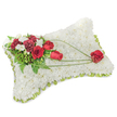 A dignified sympathy pillow handcrafted from hundreds of small, pristine white chrysanthemum blooms, the rectangular cushion resting on a neutral white surface as if placed with quiet care. The densely packed chrysanthemum heads create a soft, almost fleece-like texture that reads as pure and comforting; in soft morning light the tiny petals suggest gentle warmth rather than starkness. On the upper left corner an artful spray of deep red roses and burgundy carnations rises, their velvety petals and ruffled edges offering a rich contrast to the snowy base. Interspersed among the reds are delicate clusters of small white freesias and spray chrysanthemums, their smaller shapes adding air and texture while a subtle green scent from the foliage weaves through the composition. Lush ferns and glossy leaves form a verdant backdrop for the focal cluster, while slender arcs of bright green bear-grass carry the eye diagonally toward the lower right. There, a single, perfectly formed red rose anchors the composition, appearing cradled by those graceful green stems - a visual gesture of focused remembrance. A narrow border of light green satin ribbon peeks out around the pillow's slightly raised edge, giving the piece a finished frame-like outline. The overall mood is one of serene respect and lasting love, composed by a seasoned hand with funeral settings in mind - suitable for placement at a service, crematorium table, or beside a cherished photograph - and designed to offer solace through texture, colour, and quiet craftsmanship.
