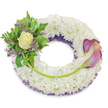 A serene, circular sympathy wreath crafted from a densely packed ring of pristine white chrysanthemums, their small, velvety florets forming a cloud-like, tactile base that reads as both pure and consoling. Beneath the white surface a subtle veil of deep purple netting peeks through along the inner rim, lending shadow and depth to the composition without disturbing its quiet dignity. On the upper-left quadrant a small, carefully gathered cluster becomes the emotional focal point: a single, soft cream-to-pale-yellow rose unfurls at its center, surrounded by a rich assortment of green foliage - broad variegated leaves edged in paler tones and delicate, feathery fern fronds that catch light like lace. Sprigs of tiny lavender-purple statice are interspersed through the greenery, their dusty, papery texture adding a gentle, cool note that echoes the hidden purple underlayer. Balancing this cluster, two sculptural calla lilies arc gracefully across the right-hand side from about two o'clock to five o'clock, their smooth trumpets graduating from a deep mauve at the tips to a soft peach-pink or blush near the bases; their bright green stems are tucked and curved along the lower-right arc, visually connecting both floral groupings. A single longer stem runs from the left cluster across the lower section, discreetly secured and leading toward the callas, lending a sense of intentional movement. Photographed against a clean white background with soft, diffuse light, the wreath suggests peace, remembrance and respectful restraint - a fitting tribute for memorials in Golders Green and nearby services by local cemeteries and chapels.