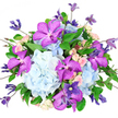 A richly detailed bouquet is displayed against a pure white background, giving it the look of a carefully composed still life. At its heart, voluminous clusters of sky and powder-blue hydrangeas form a plush, rounded cushion of colour, their countless petite petals creating a cloud-like texture that feels both calm and abundant. Emerging from this base are eye-catching Vanda orchids in electric fuchsia and deep purple, their broad, velvet-soft petals patterned with darker, speckled markings, instantly drawing attention and lending an exotic, luxurious flair. Nestled in between, you can make out multiple stems of spray roses in delicate blush pink and creamy tones, each bloom tightly layered, some in bud and others beginning to open, adding softness and a sense of quiet affection. Slender clematis vines thread through and beyond the main body of the bouquet, carrying starry blossoms in deep indigo and pale lavender, along with a few nodding buds, which introduce height, movement, and a slightly whimsical garden feel. A collar of lush emerald foliage cradles the flowers, its varied leaves and fine stems giving structure and contrast, while making the cool blues and rich purples appear even more vibrant. The bouquet is arranged in a rounded, almost domed shape that feels generous yet balanced, like something freshly created in a Golders Green flower studio and ready for delivery to a townhouse off Hoop Lane. Soft, even light smooths away harsh shadows, revealing the fresh textures and layered hues, and evoking the mood of a thoughtful celebration or romantic surprise shared in NW11.