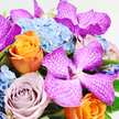 An overhead close-up of a lavish bouquet shows a tapestry of colour and texture set against a plain white background, so every blossom stands out with clarity. The centre of attention is a cluster of striking Vanda orchids in saturated fuchsia and magenta, their wide petals patterned with delicate white lattice-like veins that give them a distinctive, almost porcelain-like appearance. They arch gracefully over the rest of the arrangement, introducing an exotic flair that feels both bold and refined, like something you might bring to an elegant gathering near Golders Green Road. Cradling these orchids is a generous layer of light blue hydrangeas, their many tiny florets overlapping to create soft, rounded mounds that resemble billowing clouds. Weaving through this blue cushion are vivid orange roses, their tightly layered petals curling inward in luminous spirals, radiating warmth and a sense of joyful celebration. Interspersed among them are roses in subtle lavender and dusky mauve tones, their cooler colours and gently cupped shapes adding a romantic, slightly nostalgic atmosphere, the kind you might associate with quiet walks around nearby Hampstead Garden Suburb. Small flashes of fresh green foliage peek through the blooms, refreshing the palette and adding a natural rhythm to the composition. The lighting is gentle and even, enhancing the velvety texture of the roses and the satin sheen of the orchids, making the bouquet appear just-arranged and wonderfully fresh. Overall, the arrangement feels abundant, luxurious, and carefully curated by a skilled local florist, ideal for same-day delivery across Golders Green when you want to send a gift that speaks of elegance, celebration, and thoughtful generosity.
