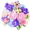 Set against a clean white background, this opulent, dome-shaped bouquet looks like a carefully painted still life brought to life by an experienced Golders Green florist. The eye is first drawn to the lush pastel pink peonies at the centre, their petals cascading in ruffled, voluminous layers that embody softness and romance. Embracing these focal blooms are rounded heads of sky blue hydrangea, each cluster made up of dozens of tiny, delicate petals that together create a billowy, cloud-like texture and a cool contrast to the warm pinks. Tucked among the pastels, vibrant fuchsia-purple Vanda orchids add an unmistakably exotic note; their speckled petals seem almost patterned by hand, introducing a jewel-like intensity to the arrangement. Coral pink calla lilies unfurl in sleek, trumpet-shaped curves that arc gracefully around the bouquet, bringing movement and a contemporary sculptural feel. Smaller light pink and cream spray roses weave through the design, filling gaps with their classic, tightly layered blooms and adding both visual richness and a suggestion of gentle fragrance. Soft, silvery-green dusty miller and deeper green foliage peek out from below, framing the flowers and grounding the vivid palette with a natural, garden-like touch. The overall impression is of a lavish, thoughtfully curated floral piece-something you might send for a milestone birthday in NW11 or to mark a special celebration near Golders Hill Park. It radiates elegance, joy, and a heartfelt sense of importance, while remaining soothing and beautifully balanced to the eye.