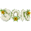 A tender, studio-shot floral tribute that spells the word SON in bold, capital letters, photographed against a clean white backdrop to highlight every delicate detail. Each letter is densely formed from immaculate white chrysanthemums whose velvety, cushion-like heads create a soft, clouded texture under gentle studio light; the blooms read as quiet and pure, their tiny petals catching faint shadows that give each letter subtle three-dimensional depth. Winding through the white base are trails of dark green ivy, the glossy, five-pointed leaves weaving naturally around the curves and angles, while feathery fern fronds and pointed leafy sprigs add a lighter, fresher green contrast and tactile variety. To bring warmth and memory into the design three bright yellow sunflowers are carefully placed: one nestles on the upper-left curve of the S, a second rests at the lower center of the O amidst the ferns, and the third crowns the upper-right of the N. The sunflowers' broad golden petals and textured dark brown centers introduce a hopeful, comforting note against the white and green palette. As a florist who frequently crafts commemorative pieces for families across Golders Green and nearby Hampstead, I arranged these elements to balance dignity with gentle uplift-white for peace, green for life's continuity, and sunflowers for warmth and remembrance. There is a faint, clean scent of chrysanthemum and green foliage and a quiet gravity to the composition. This bespoke memorial piece reads both as a personalised goodbye and a quiet celebration of a son's life, suitable for a funeral tribute, wake, or placement at Golders Green Crematorium.