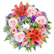 A serene and dignified circular funeral wreath is shown from directly above, set against a pure white background so that every detail of the floristry stands out. The ring is lavishly covered with flowers, creating a continuous, unbroken band of colour that reflects the idea of unending love and remembrance. Soft blush and lavender-pink roses are scattered generously around the circle, many of them fully open with their petals gently curving outward, giving a sense of tenderness and quiet comfort. Between them, lisianthus blooms in shades of pale pink and deep, velvety purple add a ruffled, almost billowing texture, introducing both depth and gentle contrast. Two large coral-orange Asiatic lilies act as striking focal points, one toward the upper arc and one near the lower side, their broad petals flaring outward and their stamens clearly visible, lending warmth and a touch of brightness to the tribute. Several closed lily buds nestle in the surrounding foliage, hinting at blooms yet to open. The base of the wreath is formed from an abundant mix of greenery: silvery eucalyptus leaves, fine fern fronds, and other rich green foliage interlock to provide structure and a natural frame. Pockets of spiky blue-grey eryngium thistles are tucked between the flowers, adding an unexpected but elegant architectural element. Tiny clusters of lavender-blue filler flowers, likely statice, thread softly through the design like a light mist. Near the bottom, bright green leaves have been expertly folded and shaped, demonstrating skilled, contemporary floristry. The overall mood is peaceful, making this wreath an appropriate condolence arrangement for a farewell gathering in Golders Green, perhaps delivered quietly to a family home off Golders Green Road or to a local chapel service.