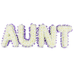 A serene, dignified tribute that spells 'AUNT' in four grand, three-dimensional letters, each face formed from a dense, cloudlike carpet of pristine white spray chrysanthemums. The small, ruffled petals sit closely together, their creamy white edges softening the strong vertical and sweeping curves of each capital letter, while occasional pale yellow centres peek through like tiny sunlit hearts, adding a whisper of warmth. Around the perimeter of every letter a deep purple satin ribbon is carefully pleated and ruffled, its gentle sheen catching the light and tracing each contour with a refined, scalloped edge. Subtle grey shadows beneath the letters lift them off the white background and give a sense of real-world depth and weight, as though the tribute has been placed on a peaceful chapel floor or against a funeral hall wall. A faint, clean green scent-dewy and fresh-seems to rise from the massed chrysanthemums, reinforcing the sense of purity and remembrance. The overall composition balances firmness and softness: the sturdy frames and precise ribbon work convey care and structure, while the soft petals and delicate colour palette suggest comfort and cherished memories. This arrangement reads as a personal, handcrafted farewell, appropriate for a memorial service in Golders Green or a quiet family gathering nearby - a visual embrace that honours a beloved aunt with dignity, tenderness, and understated hope.