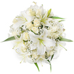 Seen from a top-down, overhead view on a pure white background, this perfectly round bouquet reads as an exercise in calm and clarity. Large, trumpet-shaped white lilies form the focal points, their broad petals curving outward to reveal pale green stamens and the faintest suggestion of warmer tones at their throats. Between the lilies sit clusters of creamy ivory roses, most held as tight buds or half-open cups so their velvety petals layer into soft, concentric spirals. Fine sprays of white baby's breath nestle into the gaps like drifting, delicate cloud, giving the composition an airy, frothy texture that lightens the dense form. A few glossy green leaves peek from beneath the blooms at the bouquet's perimeter, their fresh, cool green offering a quiet contrast against the monochrome blossoms. The lighting is soft and even, emphasising the satin sheen of petals and the subtle shadows that lend depth to the round shape.
As a local florist's creation, the bouquet carries a gentle perfume - the sweet, green fragrance of lilies warmed by the heady, romantic scent of cream roses - a scent that evokes early-morning markets on Golders Green Road or a calm walk through Golders Hill Park. Its neat symmetry and pristine white palette make it a natural choice for a bridal posy, a refined centerpiece for an intimate celebration, or a comforting arrangement for moments of remembrance. The craftsmanship shows in the balanced spacing of each bloom and the secure, tidy finish; it reads both classic and contemporary, a little generous with texture yet spare in colour, designed to communicate purity, affection, and quiet dignity to anyone who receives it.