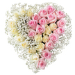 The photograph shows a lovingly crafted heart-shaped funeral tribute, composed entirely of roses and baby's breath, centred against a bright white background that lets the colours speak quietly and clearly. The heart itself is perfectly shaped, with smooth curves and a pointed base, and it is distinctly divided into two halves that meet seamlessly along a vertical line. On the left, an abundance of creamy white and very pale yellow roses are packed so closely that they create a soft, cushion-like surface, each rose in mid-bloom, neither too tight nor fully blown, suggesting innocence, peace, and a pure, enduring love. On the right, the same density of medium pink roses forms a mirror image, their slightly deeper hue bringing warmth, tenderness, and a sense of close emotional connection. Throughout both halves, and particularly along the central divide and around the outer edge, fine sprays of white baby's breath (gypsophila) are threaded like delicate lace. These tiny flowers create a feathery outline around the heart and gently break up the rose clusters, adding lightness and depth without disturbing the strong heart silhouette. The colour palette remains soft and reassuring rather than bright, making this design especially suitable as a tribute for a cherished partner, parent, or grandparent. It feels like the kind of thoughtful arrangement that might be chosen by families in Golders Green and the surrounding streets off the High Road, a quiet but deeply felt symbol of love and remembrance on a day of farewell.