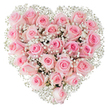 A dense, heart-shaped cluster of soft pink roses, each bloom sitting cheek-by-jowl with its neighbour, fills the frame against a pure white backdrop. The roses range in tone from a whisper of blush at the outer petals to a slightly richer pink near each flower's centre; some buds are gently furled while others open into layered, spiralling rosettes that catch the light. Scattered like fine lace throughout the heart are tiny white sprays of baby's breath (Gypsophila) that lend an airy, cloud-like texture and a bright contrast, tracing the heart's outline so the shape reads clearly even at a glance. The lighting is crisp and even, highlighting the velvety surface of the petals, the faint dewiness near the roses' bases, and the delicate filigree of the gypsophila. Close your eyes and you can almost sense a soft, green-tinged sweetness in the air, a subtle fragrance that feels gentle rather than overwhelming. The overall impression is intimate and tender - a bouquet that speaks of quiet devotion, consolation, and celebration all at once. As a local touch, imagine this arrangement sent from a small Golders Green florist to a nearby flat off Finchley Road or laid on a table in Golders Hill Park for a private anniversary picnic. Perfect for romantic gestures, anniversaries, or sympathetic moments, this heart of pink roses and baby's breath is composed with the careful hand and emotional understanding of an experienced florist, designed to convey warmth, softness, and sincere affection without saying a word.