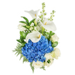A vision of serene elegance, described as if placed on a sunlit table in a quiet Golders Green living room: a vertically composed bouquet where a plush dome of deep blue hydrangea sits at the visual centre, its hundreds of tiny florets forming a velvet-like cloud of cobalt and indigo. Three sculptural white calla lilies rise above and around that blue heart, their smooth, waxy trumpets curving with quiet dignity to reveal pale yellow spadixes at each core. Creamy white roses are tucked through the mass, their layered petals offering a soft, classic counterpoint to the hydrangea's compact texture; delicate white stock adds height and a whispering vertical rhythm with tall spikes of clustered blooms. The whole composition is softened and grounded by rich green foliage - broad glossy leaves that give deep contrast, and feathery fern-like fronds (think leatherleaf) that add fine, airy texture along the edges. Light reads softly across the arrangement, making the whites glow with warmth while the blues stay crisp and refreshing, and the scent suggests a clean, slightly sweet floral hush rather than anything overpowering. This bouquet reads as both modern and timeless: appropriate for offering sympathy or solace, marking a meaningful anniversary, or presenting as a composed gesture of admiration. Imagine it arriving for a bedside room in a Hampstead care home or brightening a mantel in a Golders Green flat; its restrained palette and careful placement of blooms convey respect, calm, and considered craftsmanship from a practised florist's hand.