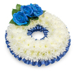 Seen from a slightly elevated viewpoint against a clean white background, this circular sympathy wreath is a calm study in white and deep blue, handcrafted with careful attention to texture and balance. The wreath's broad ring is formed from hundreds of pristine white chrysanthemums whose feathery, almost cloud-like petals overlap to create a gently domed surface; close enough you can almost sense the soft, dry rustle of their petals and the faint, comforting green-tinge scent that chrysanthemums often carry. At the upper-left quadrant three intensely saturated royal-blue roses are clustered together, their velvety spirals of petals tightly unfurled and set against a bed of glossy, dark green foliage that gives each bloom extra structure and a natural, solemn frame. A pleated satin ribbon in the same cobalt-blue shade traces both the outer and inner edges of the chrysanthemum ring, its subtle sheen catching the studio light to add depth and a restrained formality. The composition casts a gentle shadow on the white surface below, which reinforces the wreath's presence and the sense that it rests ready to be placed at a service. As a florist with experience arranging tributes for Golders Green and nearby Temple Fortune, I picture this piece at a memorial table or outside a chapel - its clean lines and dignified palette communicating remembrance, solace, and a quiet respect. The overall effect is one of considered restraint: tactile petals, smooth ribbon, and a colour contrast that reads both traditional and personal, appropriate for a funeral, committal, or a thoughtful gesture of condolence within the local community.