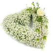 A heart-shaped sympathy wreath composed almost entirely of small, cloud-like white Baby's Breath (Gypsophila), each tiny blossom tightly clustered to create a pillowy, pure-white texture that reads like a gentle snowfall across the rounded contours. The dense gypsophila forms a soft, muffled surface that invites touch - a tactile hush - while a single creamy-white rose, placed near the upper right curve, opens just enough to reveal a classic spiral of petals. That rose, with a faint honeyed scent against the neutral white, becomes the quiet focal point. Sprigs of glossy, variegated ivy and slender eucalyptus-like greenery weave through and along the right side, their deep green tones and matte silvery leaves adding contrast, natural movement and a hint of cool, resinous fragrance as they cascade slightly down the heart's edge. The arrangement sits against a clear white background so the subtle shadows and delicate highlights on each tiny blossom read plainly, conveying calm dignity. I imagine this piece arranged in the quiet light of a Golders Green morning, where local florists know how to balance restraint and care for services at nearby Golders Green Crematorium or intimate home farewells. The composition is intentionally minimal and reverent, a traditional choice for funerals and memorials that speaks of purity, remembrance and lasting affection. As a local florist would, I note the sturdy construction beneath the airy surface - a wire base, careful wiring of stems and a florist's practiced hand - ensuring the heart retains its shape while offering a simple, consoling presence in times of loss.