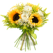 This image shows a bright, hand-tied bouquet that feels like a burst of Golders Green sunshine captured in flowers, set against a pure white background that heightens every tone and texture. Several large sunflowers, with wide golden petals framing deep, chocolate-brown centres, anchor the design and create an immediate sense of warmth and abundance. Tucked among them are creamy white roses, their velvety petals folded in classic spirals, some more open, some still cupped, adding a refined, romantic quality that balances the boldness of the sunflowers. Sprinkled throughout are tiny white daisy-like blossoms with soft yellow centres, likely chamomile or feverfew, giving the bouquet a gentle, meadow-inspired charm, reminiscent of informal garden borders in the quieter streets off Finchley Road. Wisps of light, feathery greenery in vivid chartreuse and lime shades-similar to solidago-fill out the shape, threading through the flowers to create depth, movement, and a rounded, generous form without feeling heavy. Below the blooms, the stems are straight, fresh, and neatly aligned, tied with a slender lime-green ribbon that hugs the base and trails slightly for a natural finish. The overall mood is joyful and uplifting, making this bouquet perfectly suited to celebratory moments: a congratulations delivery to a new homeowner near Golders Hill Park, a thank-you gift for a thoughtful neighbour, or simply a way to bring a splash of golden colour into a room on a grey North London afternoon.