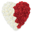 An overhead, heart-shaped composition of tightly clustered carnations, each bloom contributing to a lush, tactile surface. The left side is a field of off-white and creamy carnations whose ruffled, paper-thin petals gather light like soft linen; the right side is a mirror of saturated crimson carnations, their velvety folds suggesting warmth and fervour. The two colour fields meet along a sharply defined vertical boundary - a serrated, saw-tooth line that gives the heart a rhythmic, almost flag-like quality - set against a clean white backdrop that makes every petal edge and shadow read clearly. As a florist in Golders Green, I imagine the faint, sweet-spicy scent of carnations rising when you lean close, and I think of this piece sitting quietly on a mantelpiece near Golders Hill Park or at a memorial table in a community hall on Finchley Road. The arrangement's dense packing creates gentle undulations across the surface, small peaks and valleys of blooms that invite the fingertips to trace their ruffled texture in memory or consolation. There is both intimacy and ceremony here: visually immediate, yet contemplative. Whether used to express ardent love, to mark a national moment that uses red-and-white symbolism, or to stand as a tender tribute at a remembrance service, the heart reads as handcrafted care - careful clipping, close placing of each stem, and an eye for contrast that balances softness against a bold, clarifying edge. The overall impression is respectful and composed, a floral statement that comforts as much as it declares.