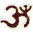 A reverent floral portrait of the sacred Om (Aum) symbol, carefully shaped from thousands of tiny, densely packed blooms and set against a pure white background that isolates its form with quiet grace. The central body of the character is composed of rich, deep maroon-to-burgundy chrysanthemums - small, pompon-like heads pressed together to create a velvety mass - many showing a delicate lime-green eye at their cores that adds life and subtle contrast within the dark red field. Encircling and defining each loop and curve is a generous, undulating border of pristine white spray chrysanthemums, their fine petals forming a crisp outline that makes the Om immediately legible and gives the piece a luminous, halo-like quality. A faint shadow beneath the composition suggests three-dimensionality, as if the symbol gently floats above the background, and the overall texture reads soft yet sculptural, the petals catching a cool, diffused light that emphasizes depth and form. Smell and touch are almost suggested: an earthy, late-summer chrysanthemum scent and a cool, silky petal surface that invites close, contemplative attention. Crafted with the quiet discipline of a devotional piece, this arrangement conveys solace, meditative stillness, and ceremonial dignity - suitable for a temple offering, a yoga or meditation gathering, or a thoughtful memorial. For those in and around Golders Green seeking a respectful floral tribute, this composition speaks of tradition and calm, its colours and rhythm guiding the eye inward and the spirit toward reflection.